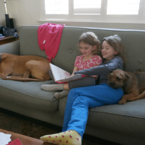kids and dogs