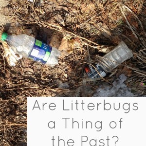are litterbugs a thing of the past