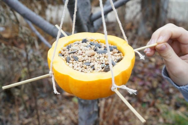 Natural Twine For Birdfeeders 3