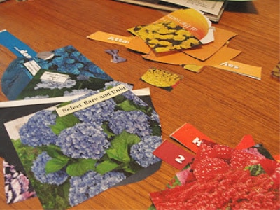 collage art clippings from magazine in colour piles