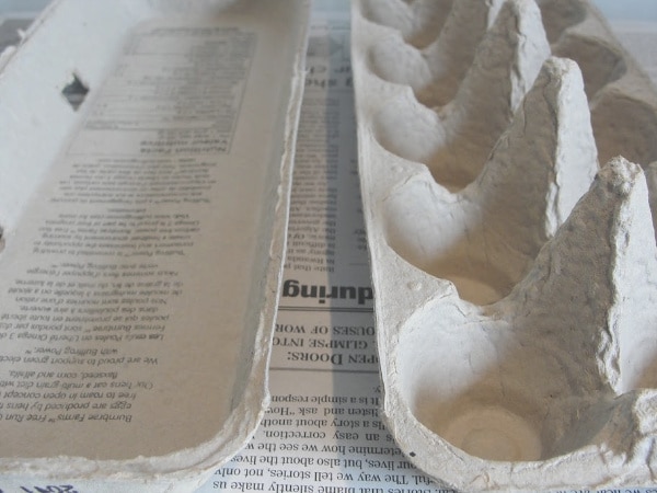 egg carton cut in half