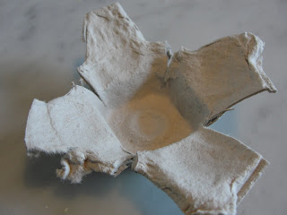 egg carton pieces