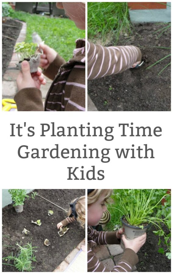 Planting an Herb Garden with Kids