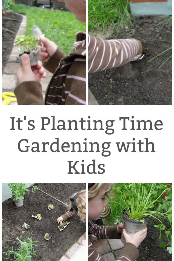 Gardening with kids tips