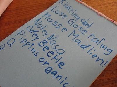 list of items in abc's scavenger hunt game written by child