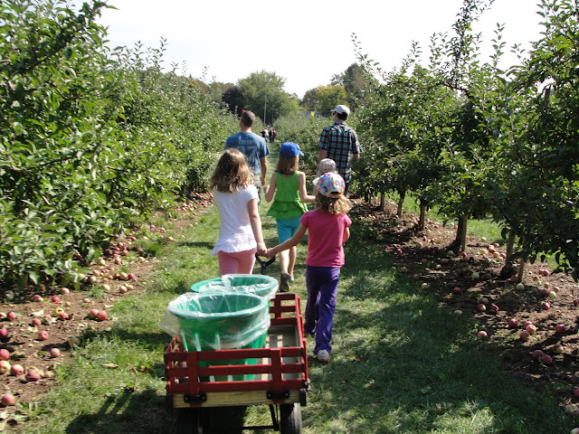 kids pick apples