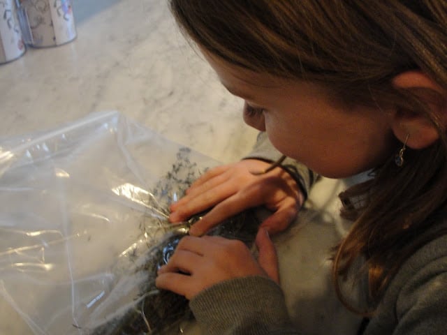 kids rolling herbs