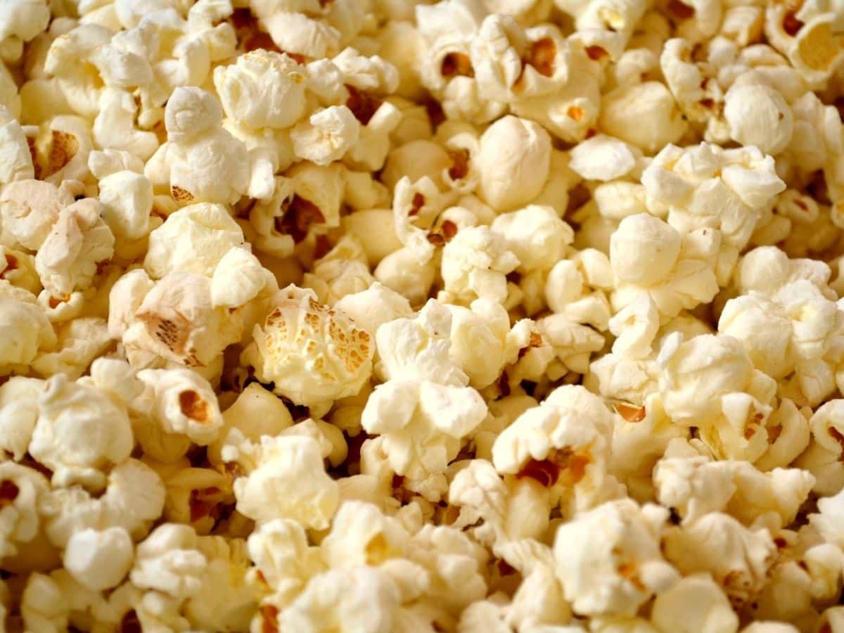 pile of popcorn