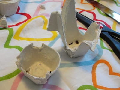 2 egg carton cups cut from egg carton