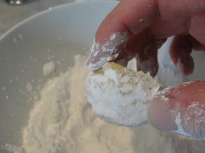 icing sugar dusted cookie