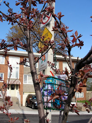 nesting supplies in a tree