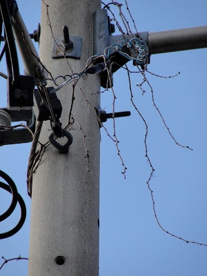 utility pole
