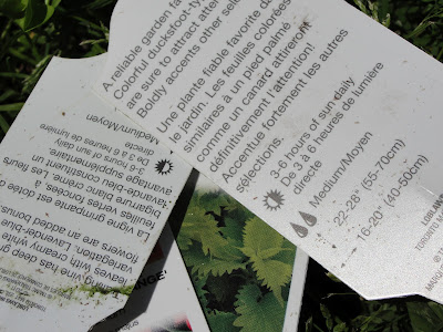 plant labels