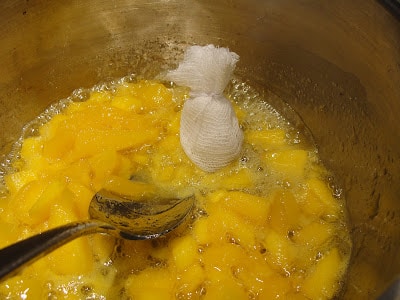 sachet of indian spices in mango chutney