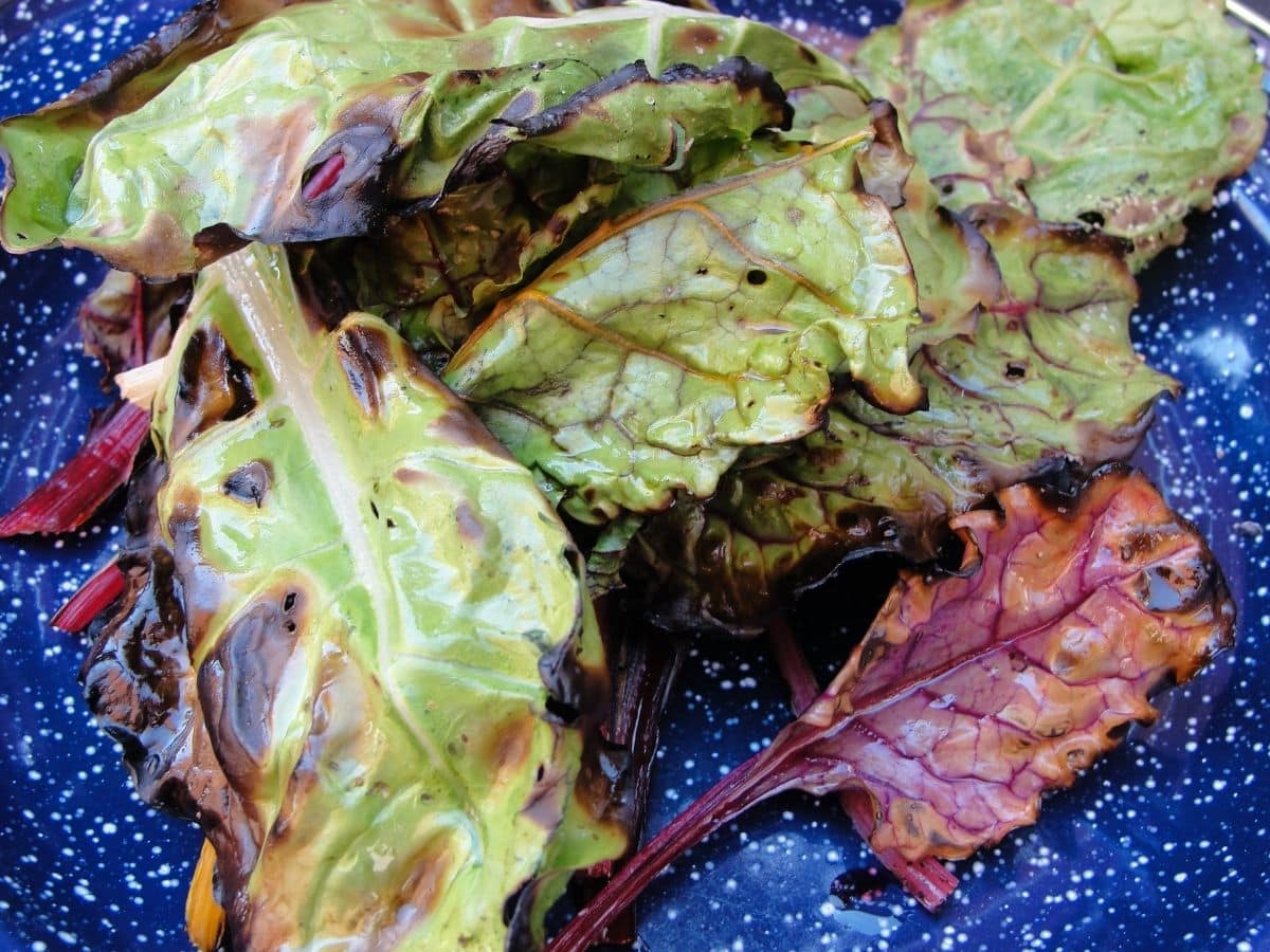 barbecue swiss chard leaves on plate