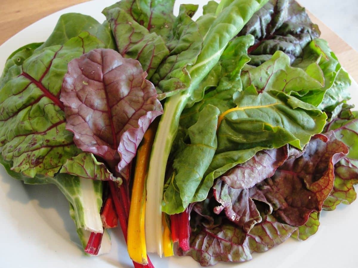 rainbow swiss card on plate