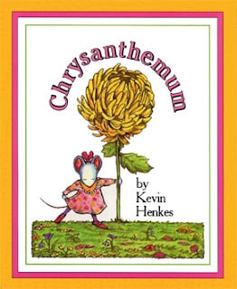 chrysanthemum