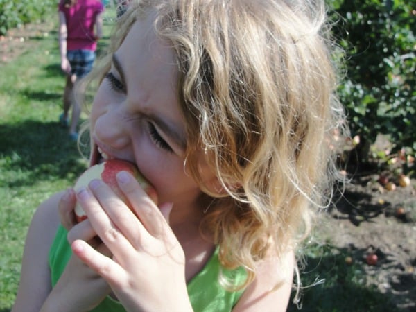 kid eating apple