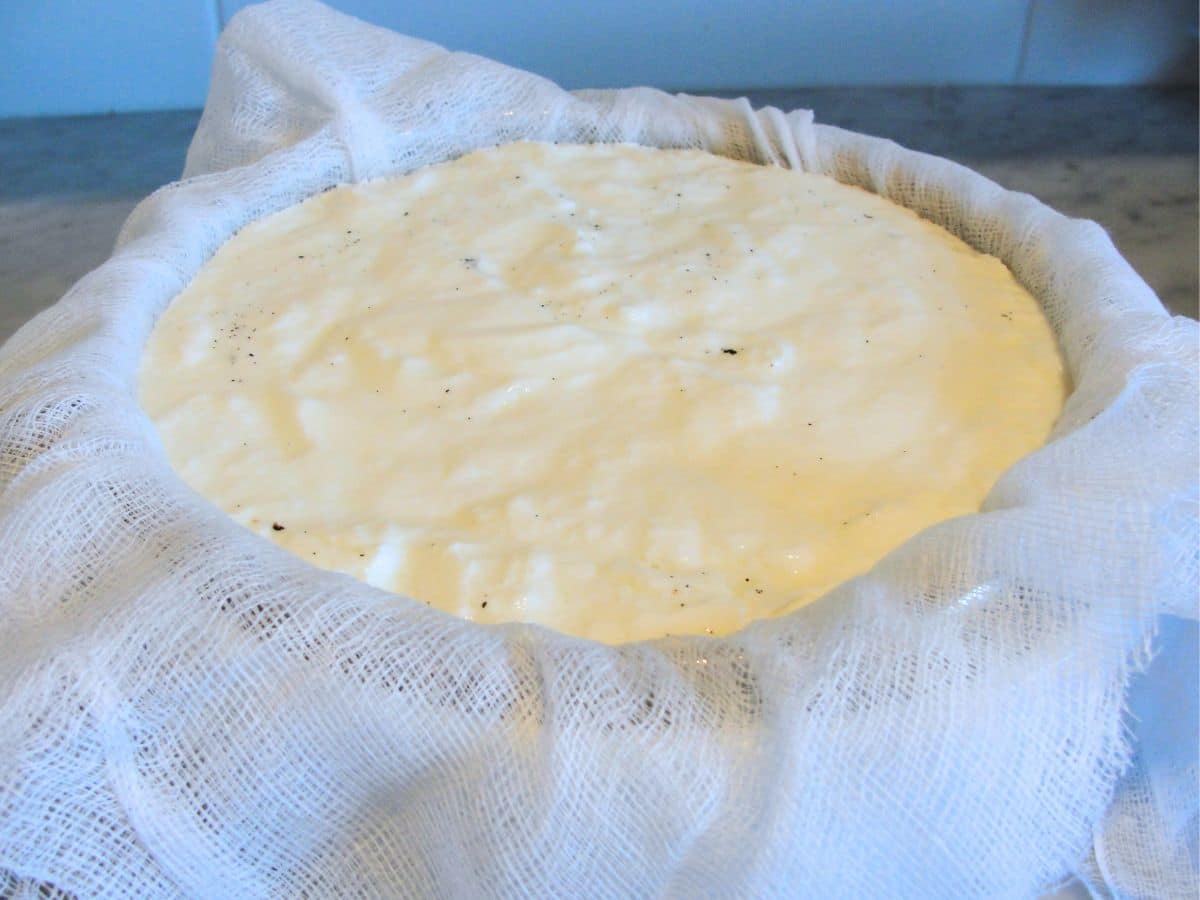 homemade vanilla yogurt in cheesecloth lined bowl
