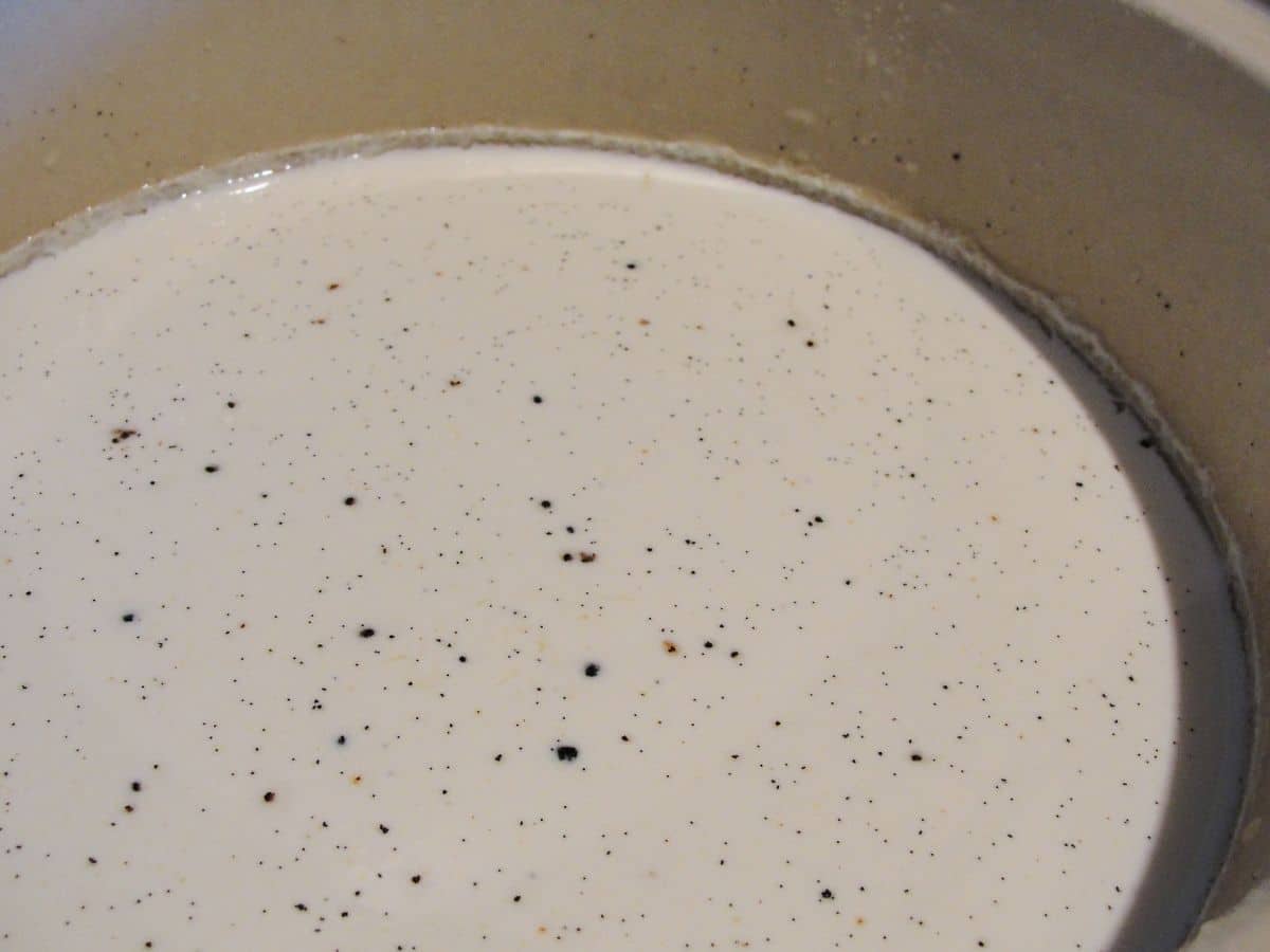 milk and vanilla bean seeds in slow cooker