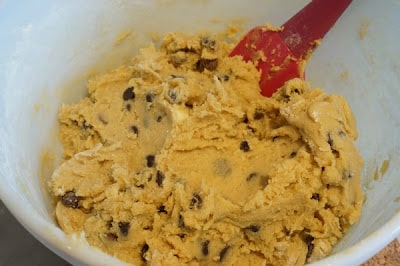 chocolate chip cookie dough