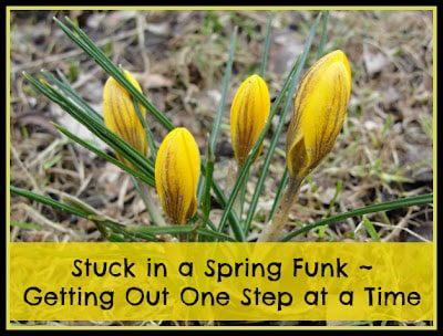 stuck in a spring funk