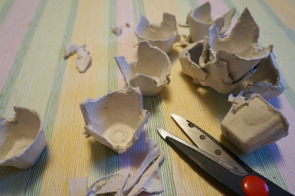 egg carton cut up