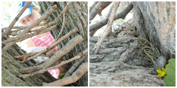 fairy house building