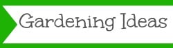gardening ideas 