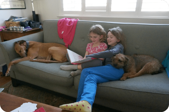 kids and dogs