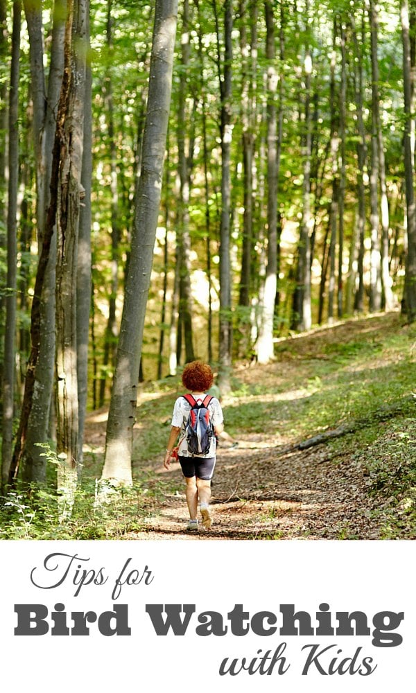 Tips for Bird Watching with Kids