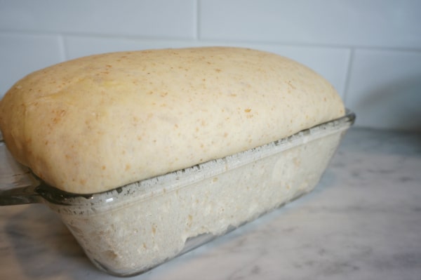 bread dough second rise
