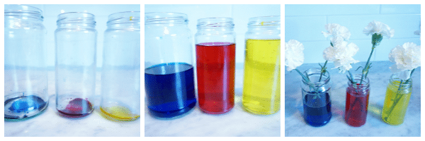 dye beginning step