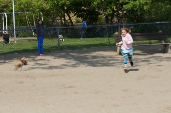 dog and kid running