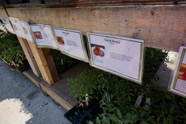 garden centre