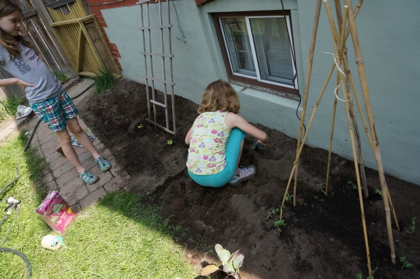 kid in the garden