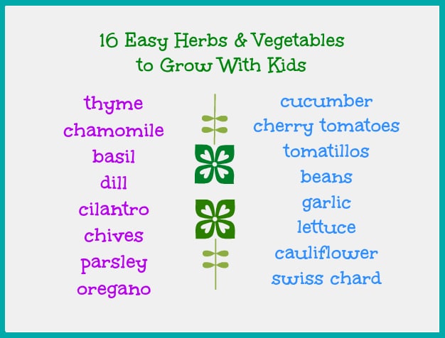 vegetables and herbs to grow with kids