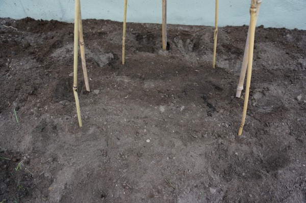 bean tee-pee stakes