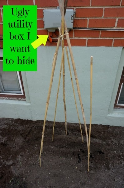 bean tee-pee utility box