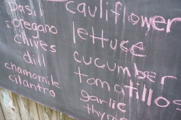 vegetable list