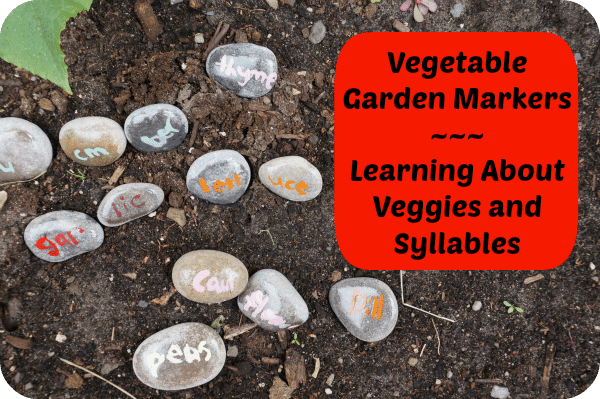 Vegetable Garden Markers