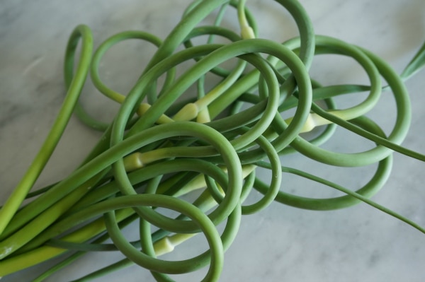 garlic scapes