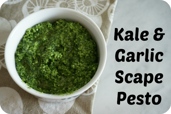 kale and garlic scape pesto