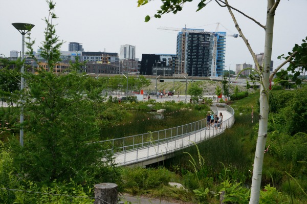 corktown park pond