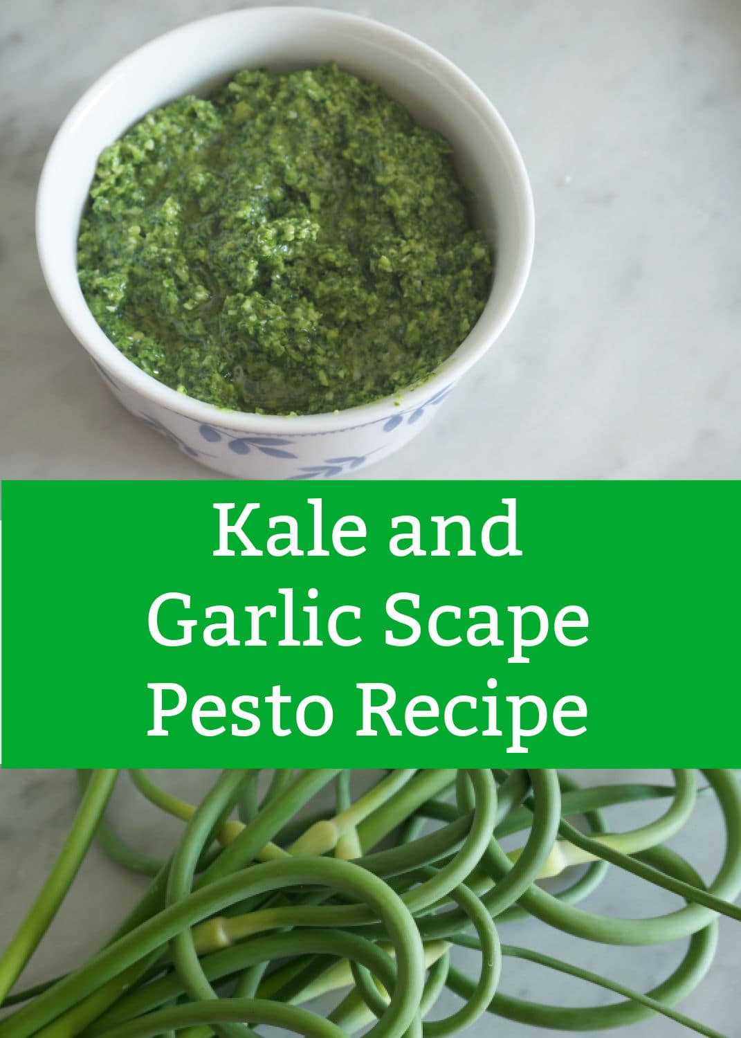 Easy Kale and Garlic Scape Pesto Recipe