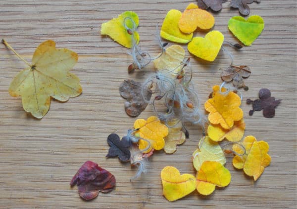 leaf confetti