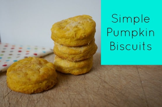 pumpkin biscuit recipe