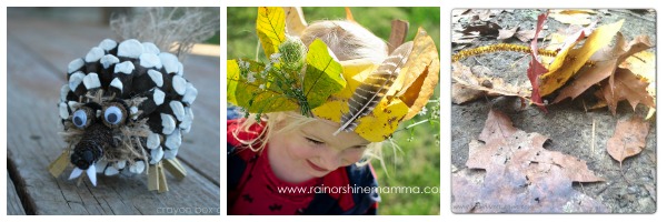 fall nature craft collage