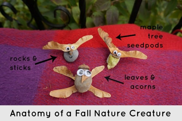 fall nature creature