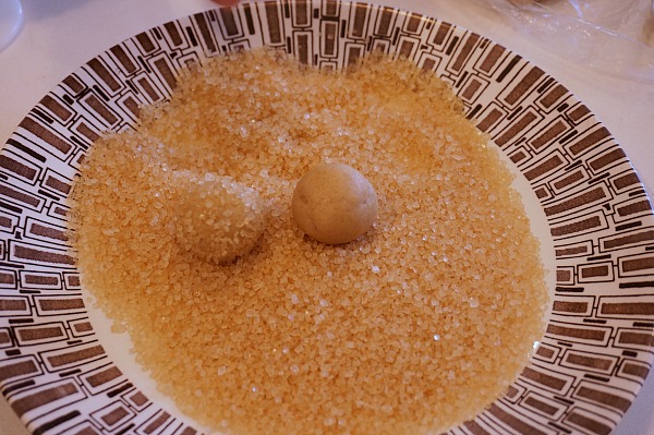 ginger cookie in sugar